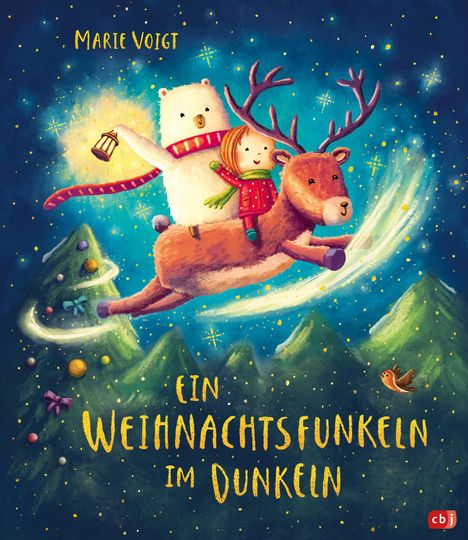 Marie Voigt: Ein Weihnachtsfunkeln im Dunkeln, Buch