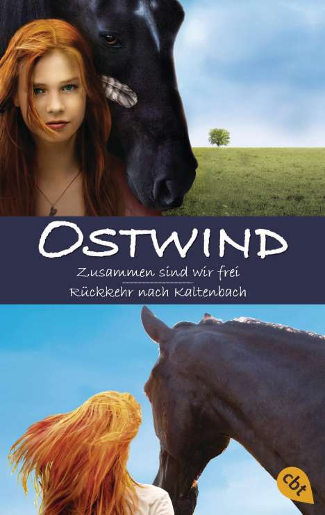 Carola Wimmer: Wimmer, C: Ostwind, Buch