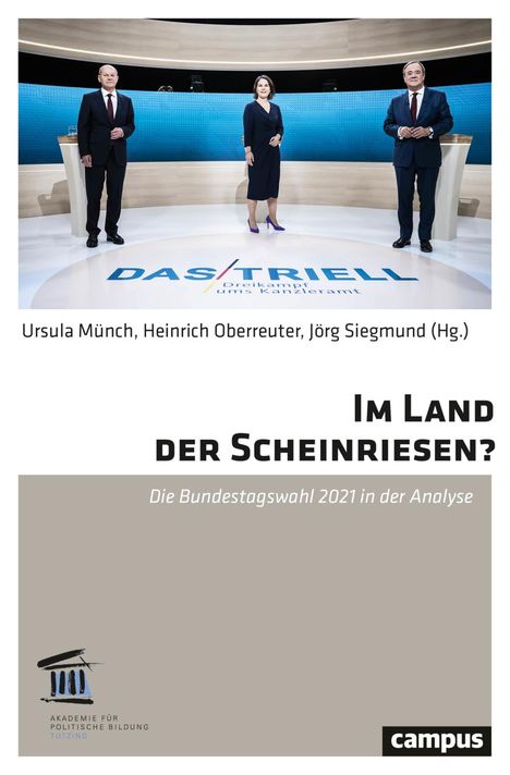 Im Land der Scheinriesen?, Buch