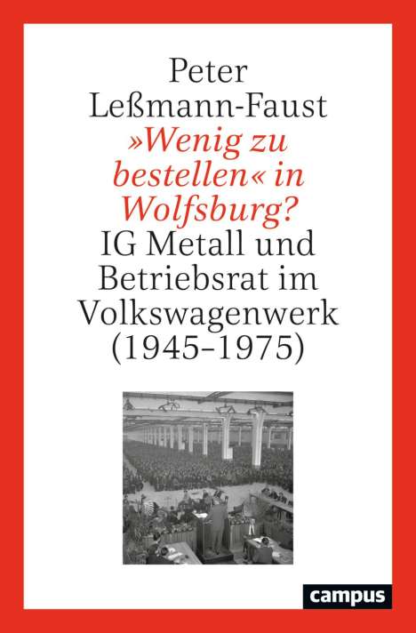 Peter Leßmann-Faust: 'Wenig zu bestellen' in Wolfsburg?, Buch