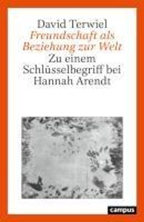 David Terwiel: Freundschaft als Beziehung zur Welt, Buch