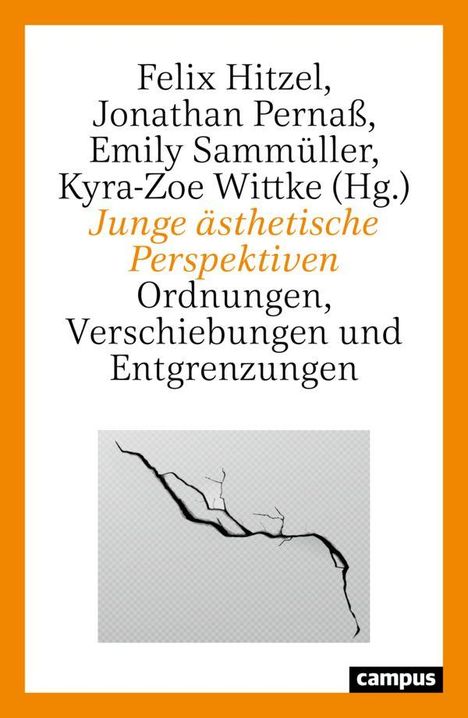 Felix Hitzel, Jonathan Pernaß, Emily Sammüller, Kyra-Zoe Wittke (Hg.). Illustration eines schwarzen Risses.