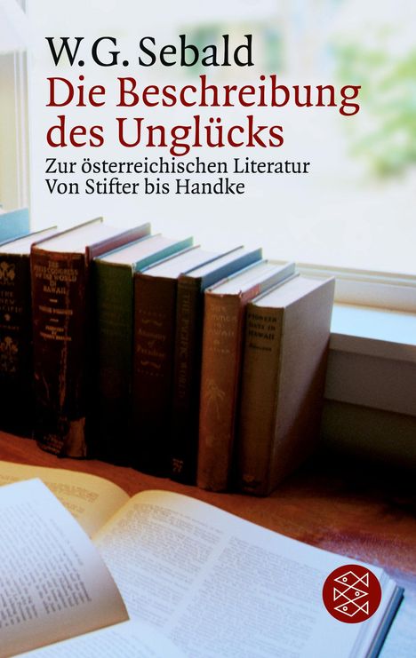 W. G. Sebald: Die Beschreibung des Unglücks, Buch