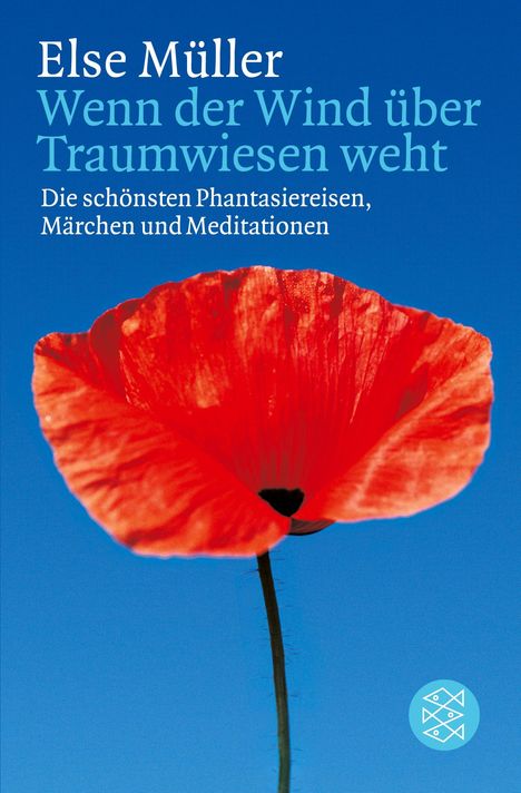 Else Müller: Wenn der Wind über Traumwiesen weht, Buch