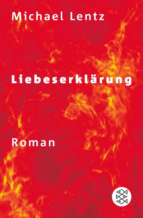 Michael Lentz: Liebeserklärung, Buch