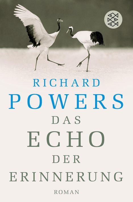Richard Powers: Das Echo der Erinnerung, Buch