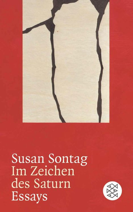Susan Sontag: Im Zeichen des Saturn, Buch