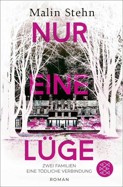 Malin Stehn: Nur eine Lüge - Zwei Familien, eine tödliche Verbindung, Buch