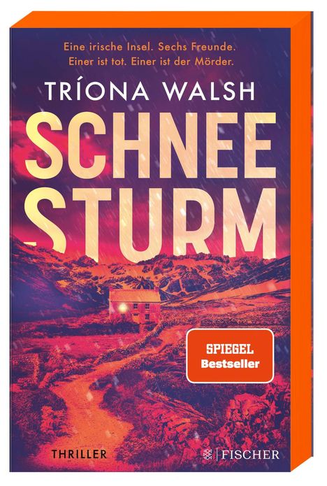 Tríona Walsh: Schneesturm, Buch