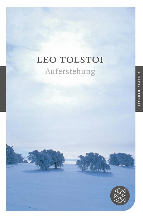 Leo N. Tolstoi: Auferstehung, Buch