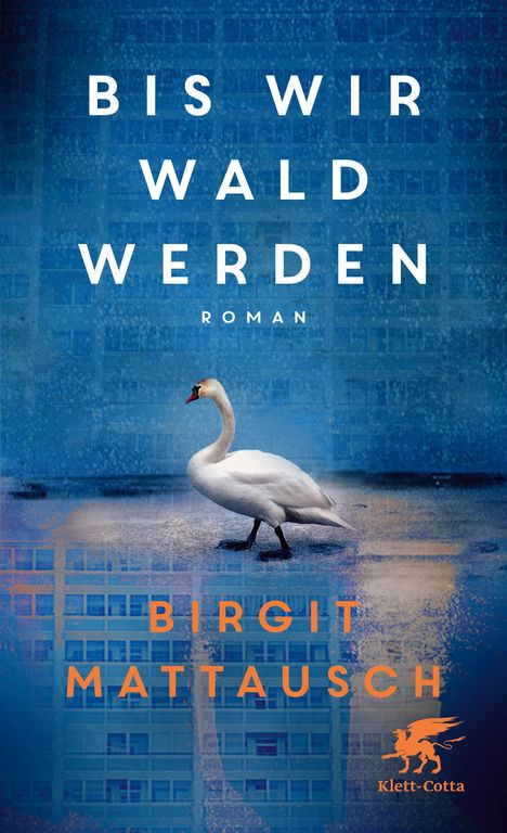 Birgit Mattausch: Bis wir Wald werden, Buch