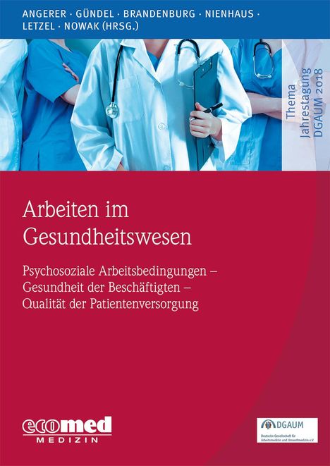 Peter Angerer: Arbeiten im Gesundheitswesen, Buch