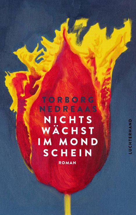 Torborg Nedreaas: Nichts wächst im Mondschein, Buch