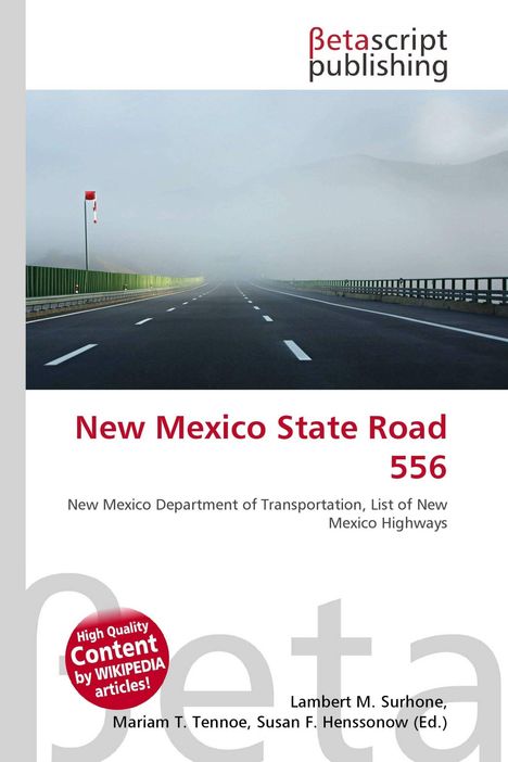 "New Mexico State Road 556" unten. Oben βetascript publishing Logo, darunter neblige, leere Straße.