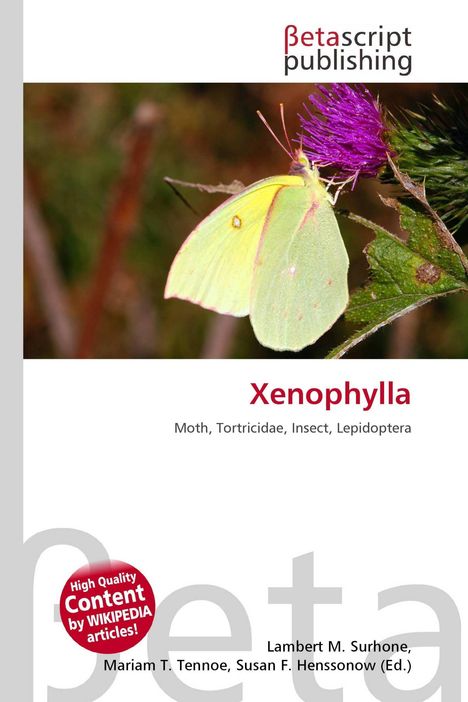 "Xenophylla: Moth, Tortricidae, Insect, Lepidoptera." Ein gelber Schmetterling sitzt auf einer violetten Blüte.