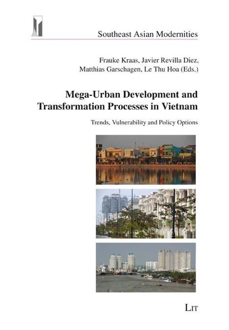 Mega-Urban Development and Transformation Processes in Vietnam, Buch