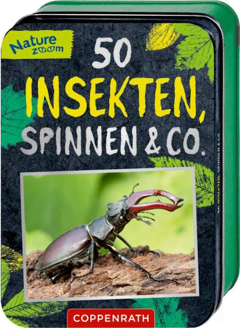 Holger Haag: Haag, H: 50 Insekten, Spinnen &amp; Co., Buch