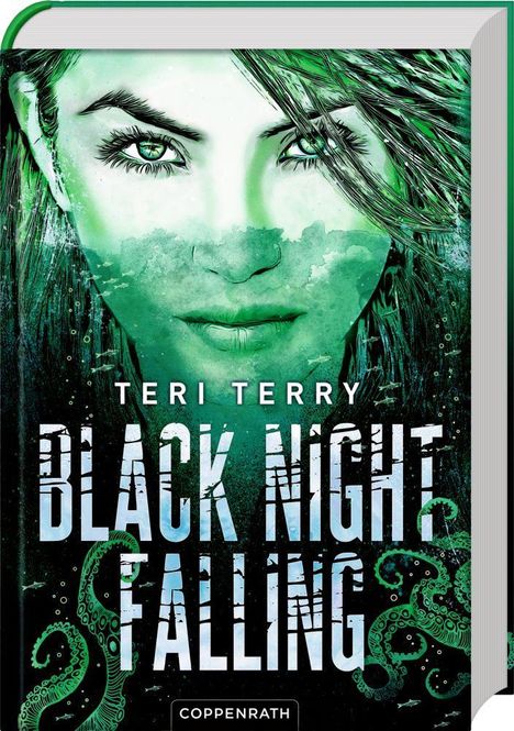 Teri Terry: Black Night Falling (Bd. 3), Buch