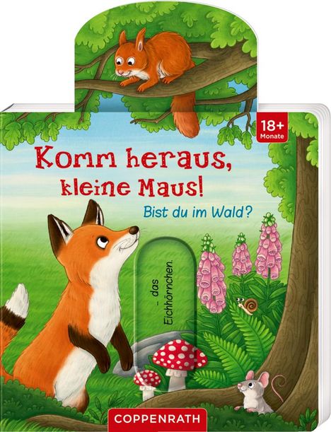 Cover/Produkt Ansicht vergrößern