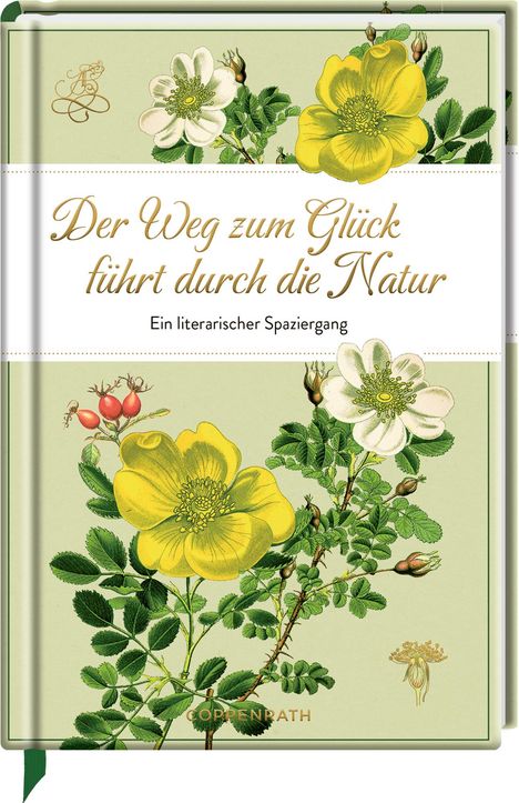 Der Weg zum Glück führt durch die Natur, Buch