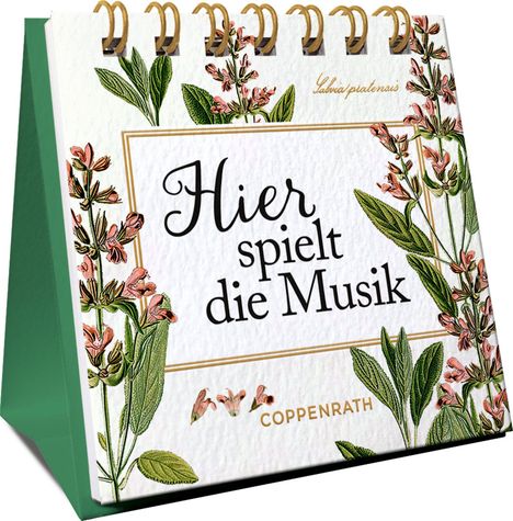 Hier spielt die Musik, Buch