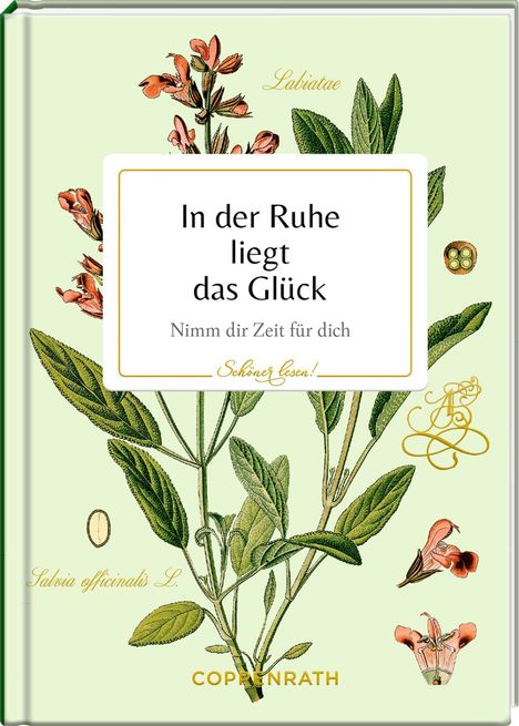 In der Ruhe liegt das Glück, Buch