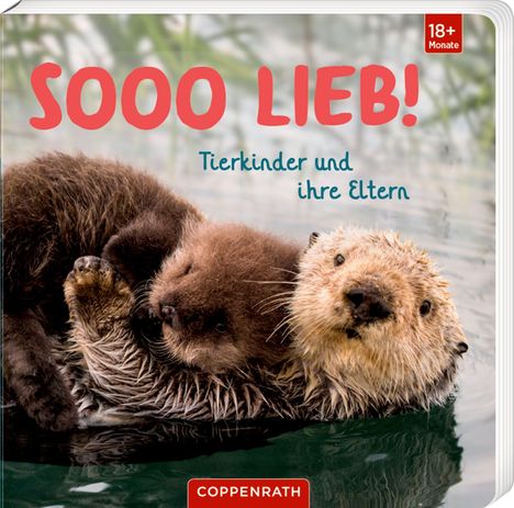 "Sooo lieb! Tierkinder und ihre Eltern." Zwei Otter, kuschelnd im Wasser. Oben rechts 18+ Monate.