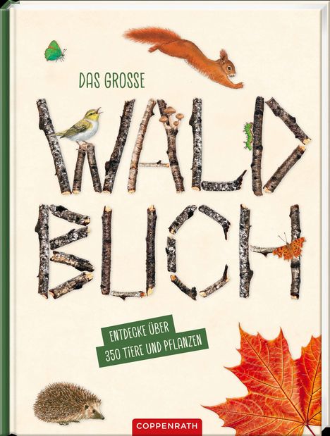 Titel: "Das grosse WALD BUCH". "Entdecke über 350 Tiere und Pflanzen". Illustrationen von Waldtieren und Pflanzen.