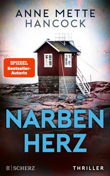 Anne Mette Hancock: Narbenherz, Buch