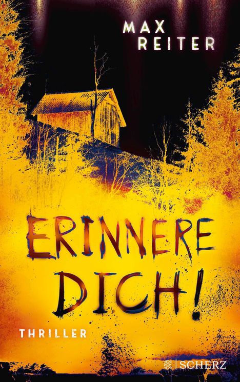 Max Reiter: Erinnere dich!, Buch