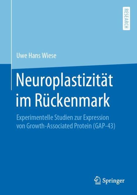 Uwe Hans Wiese: Neuroplastizität im Rückenmark, Buch