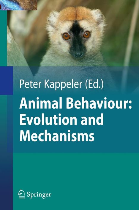 "Peter Kappeler (Ed.) Animal Behaviour: Evolution and Mechanisms." Ein Lemur schaut direkt in die Kamera.
