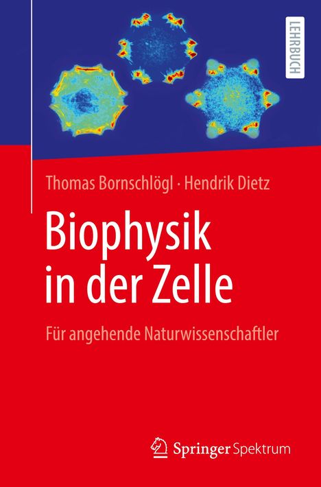 Thomas Bornschlögl: Biophysik in der Zelle, Buch