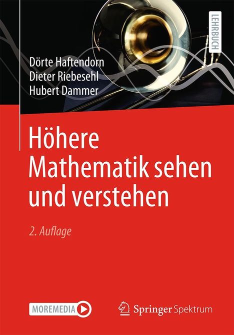 Dörte Haftendorn: Höhere Mathematik sehen und verstehen, Buch