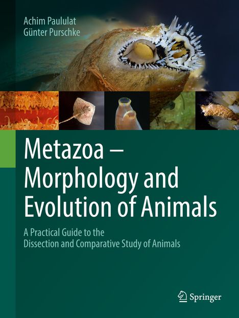 Günter Purschke: Metazoa - Morphology and Evolution of Animals, Buch