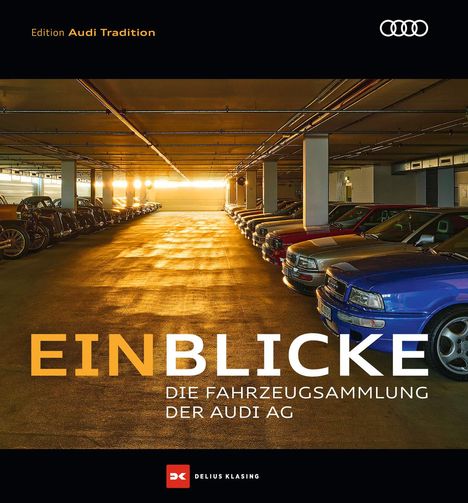 Ralf Friese: Einblicke, Buch