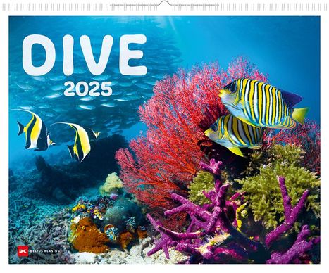 Dive 2025, Kalender