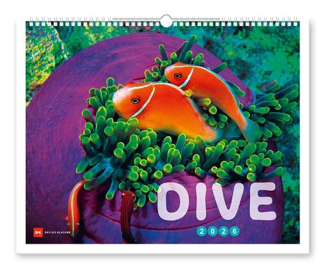 Dive 2026, Kalender