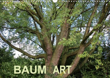 Andrea Ganz: Ganz, A: Baum Art (Wandkalender 2020 DIN A3 quer), Kalender