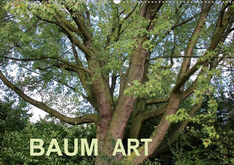 Andrea Ganz: Ganz, A: Baum Art (Wandkalender 2020 DIN A2 quer), Kalender
