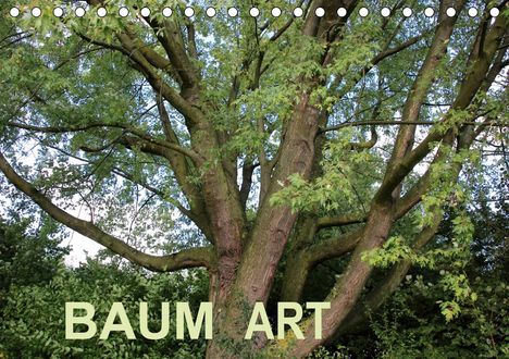 Andrea Ganz: Ganz, A: Baum Art (Tischkalender 2020 DIN A5 quer), Kalender