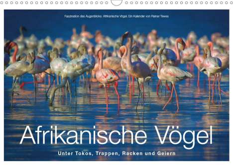 Rainer Tewes: Tewes, R: Afrikanische Vögel (Wandkalender 2020 DIN A3 quer), Kalender