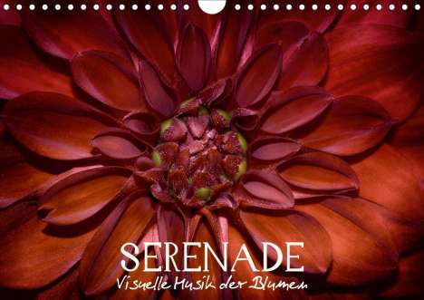 Vronja Photon: Photon, V: Serenade - Visuelle Musik der Blumen (Wandkalende, Kalender