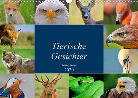 Andreas "aFriend" Freund: "aFriend" Freund, A: Tierische Gesichter (Wandkalender 2020, Kalender