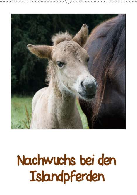 Angelika Beuck: Beuck, A: Nachwuchs bei den Islandpferden (Wandkalender 2021, Kalender