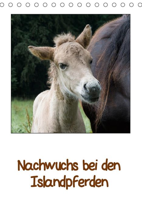 Angelika Beuck: Beuck, A: Nachwuchs bei den Islandpferden (Tischkalender 202, Kalender