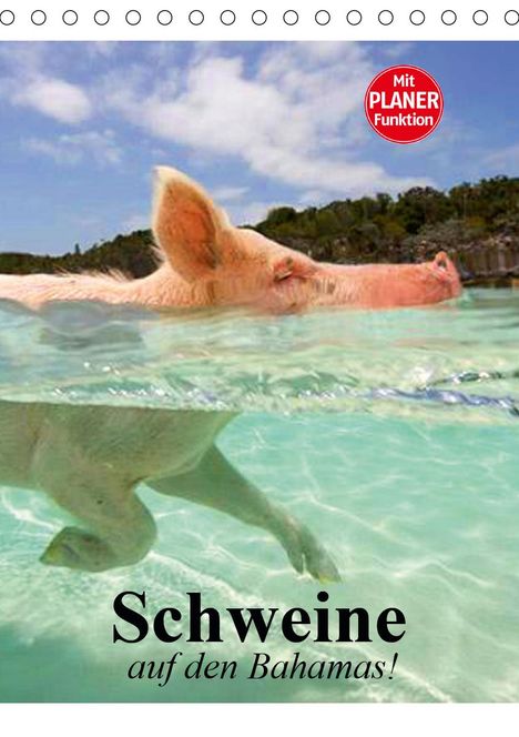 Elisabeth Stanzer: Stanzer, E: Schweine auf den Bahamas! (Tischkalender 2021 DI, Kalender