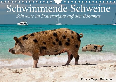 Elisabeth Stanzer: Stanzer, E: Schwimmende Schweine (Wandkalender 2021 DIN A4 q, Kalender