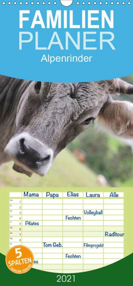 Katrin Lantzsch: Lantzsch, K: Alpenrinder - Familienplaner hoch (Wandkalender, Kalender