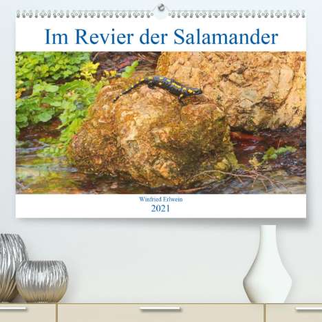 Winfried Erlwein: Erlwein, W: Im Revier der Salamander (Premium, hochwertiger, Kalender